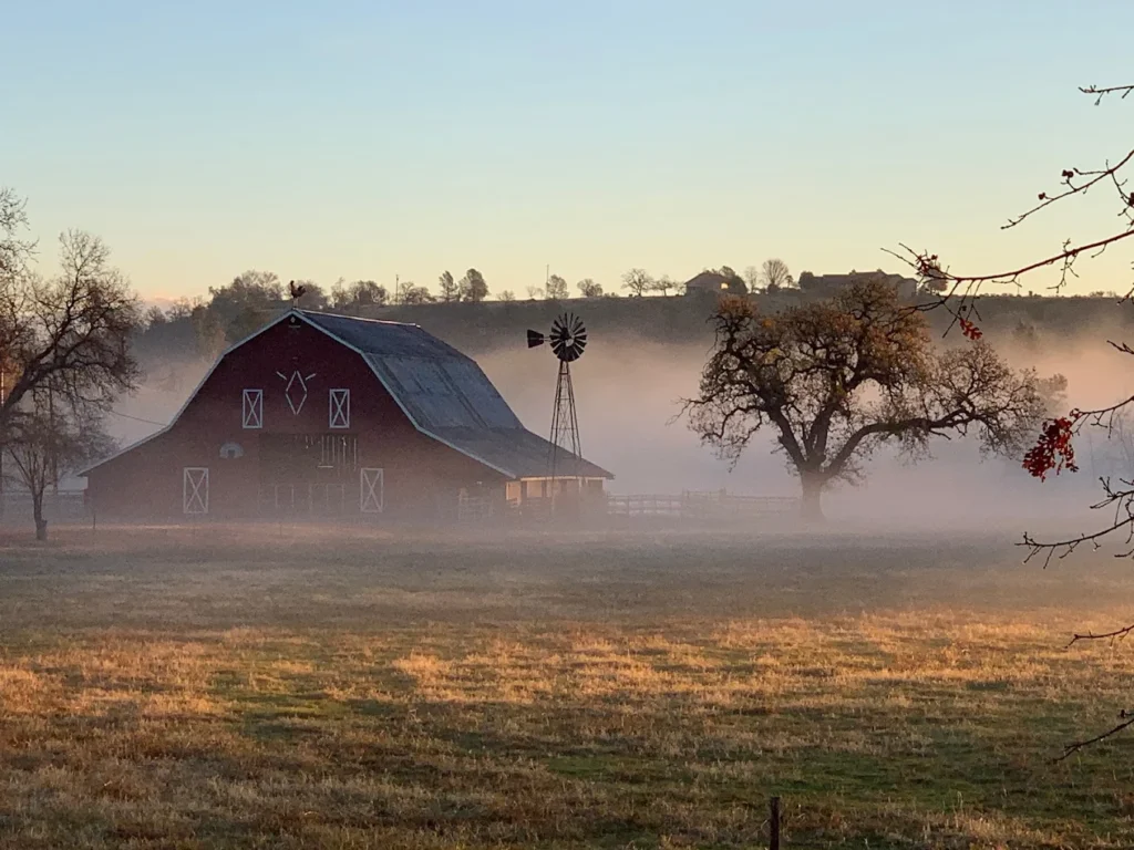 Flying Diamond Wedding Ranch Redding ca