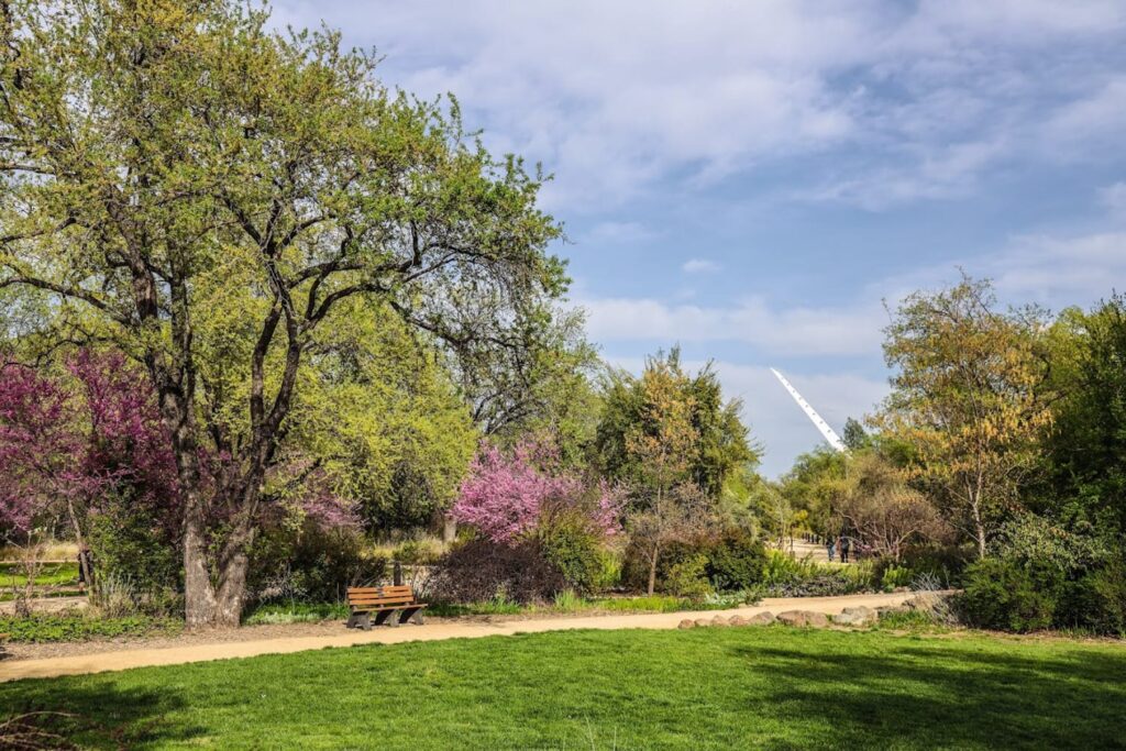 Mcconnel Aboretum Redding Ca