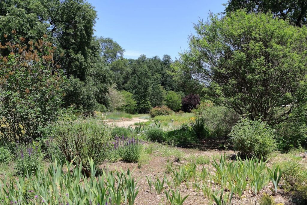 Turtle bay redding ca