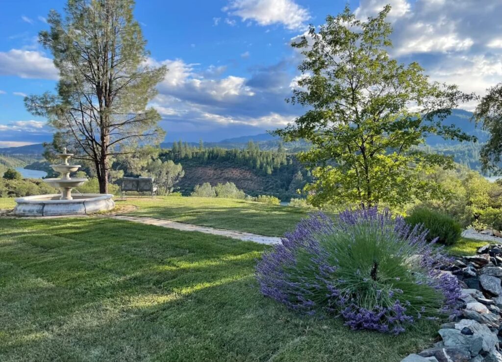Walker Mine Road, one of the best wedding venues in redding